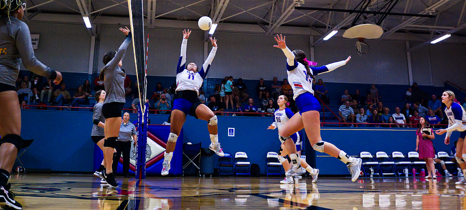 Ashley Davis sets the ball as Annabelle Popek and Autumn Cason prepare to spike it. [view more volleyball]